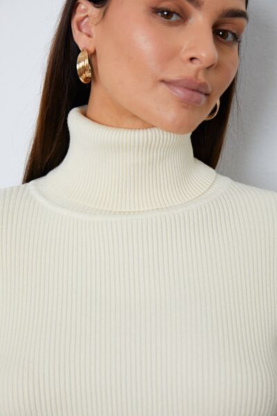 Turtleneck Dropped Shoulder Top and Pants Sweater Set - Zen Allure Beauty®️